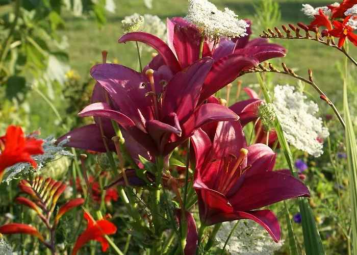 Landpension Freiimfelde 게스트하우스 룩카우